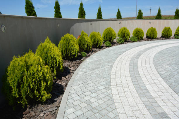 Best Driveway Paving Contractor  in Honaunau Napoopoo, HI
